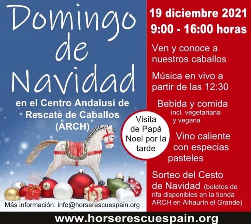 Centro Andalusí de rescate de caballos